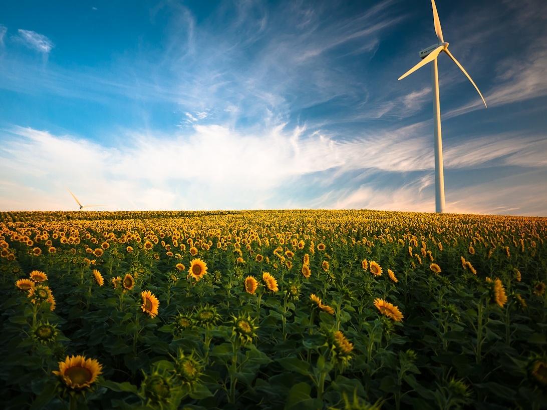Geothermie als Ergänzung zur Bioenergie: Synergien für nachhaltige Energiekonzepte