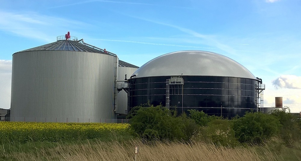 Bioenergie: der Schlüssel zum Erfolg der Energiewende?