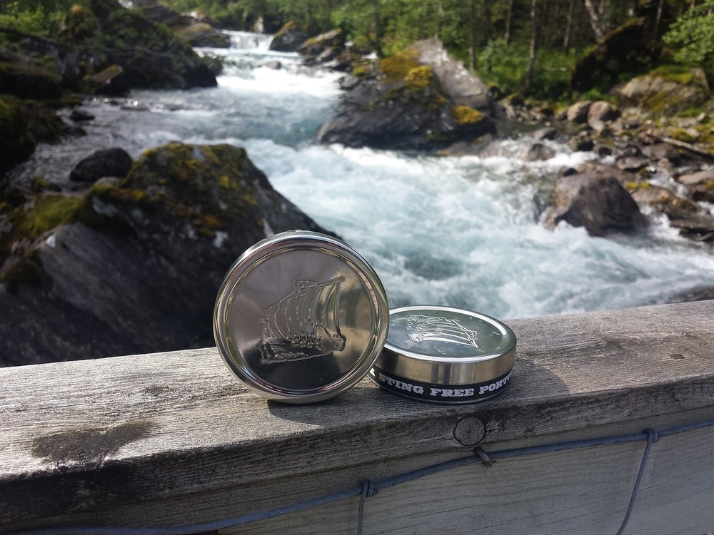 Alternative Errungenschaften: Bioenergie und Snus